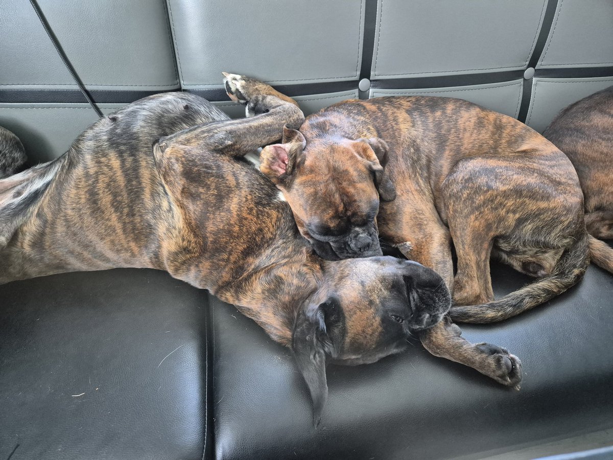 Chilli und Coffee (oder wie wir inzwischen sagen: Chip und Chap