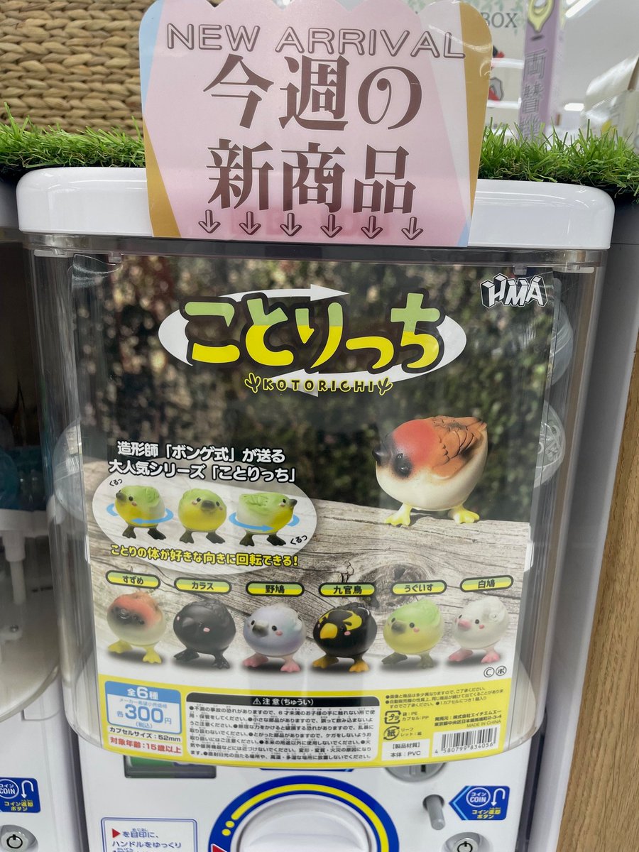 gashacoco's tweet photo. 🌟**#ガシャココ #コーチャンフォー新川通り 入荷情報**🌟
✨新商品が入荷しました✨
🐼 #KIYATA 木工アートミニチュアコレクション
🍞 #COCOAroom くまのパンめじるしアクセサリー
🐦 #ことりっち
個性豊かなアイテムが勢ぞろい!
お気に入りをぜひ見つけてください🐾 https://t.co/fB6pJjqryt