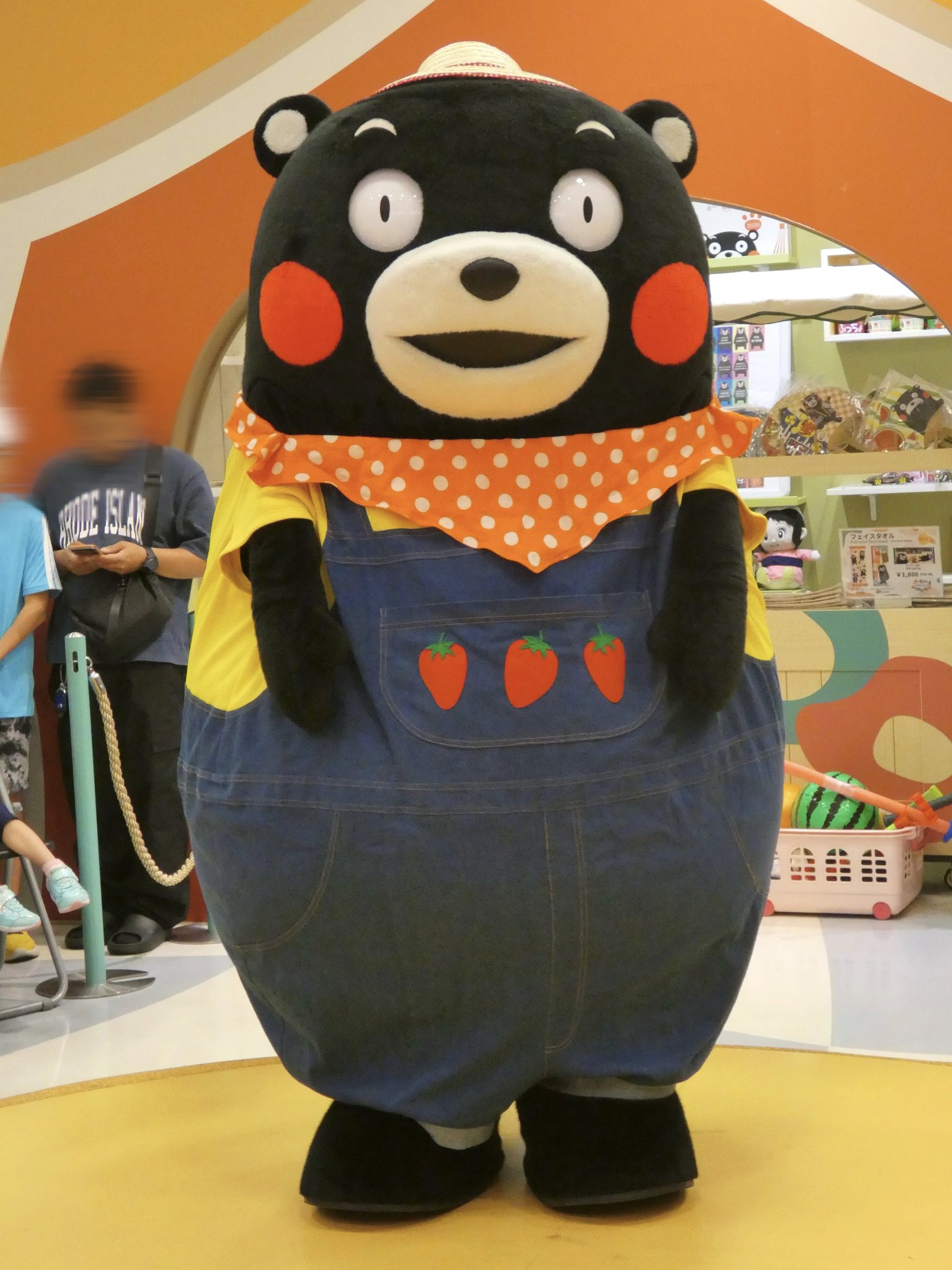 風凪いくは@🐻行きマス🛫 on X: 