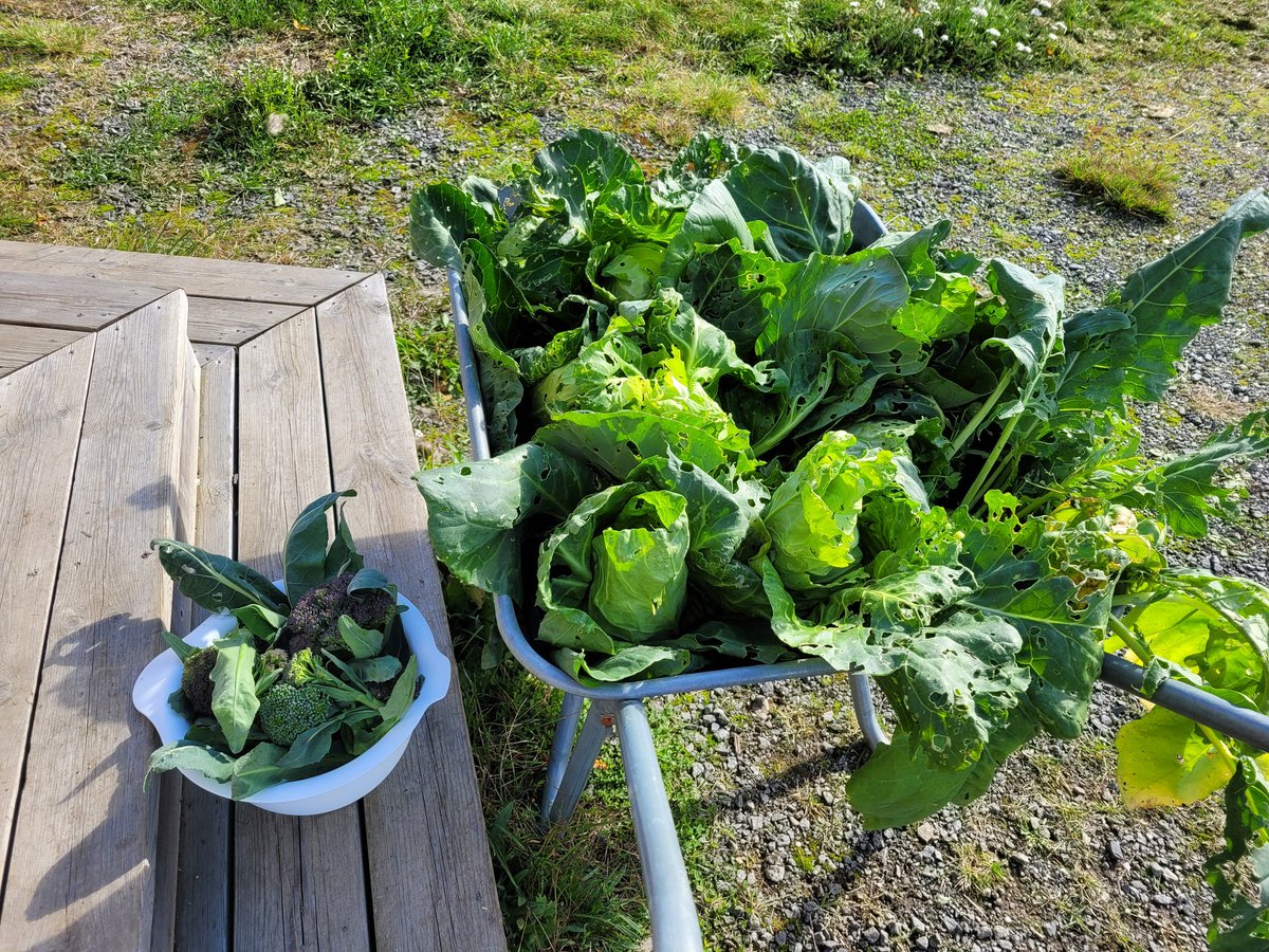 Fruprepper tweet media