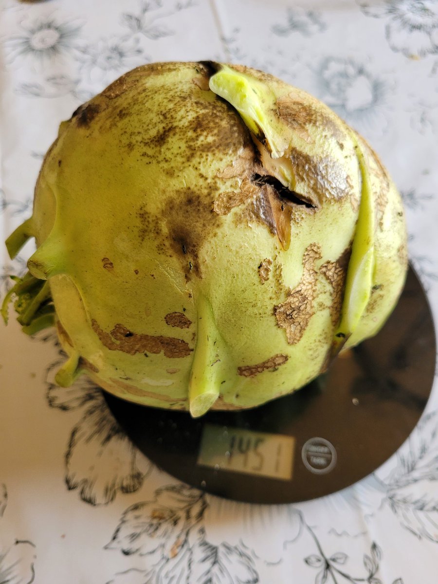 Fruprepper tweet media