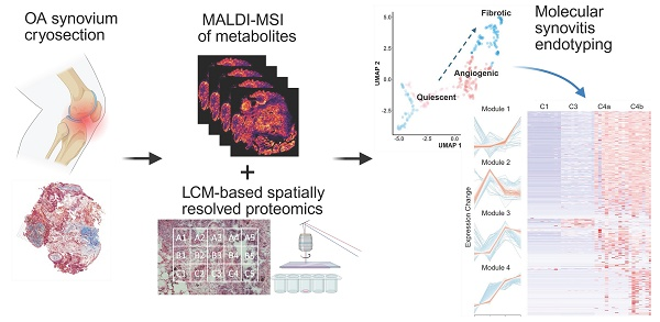 Lawrence Lau tweet media