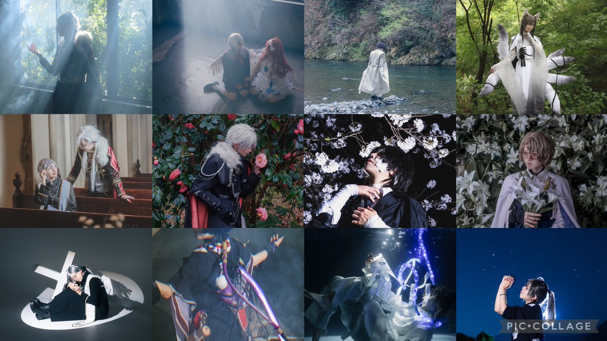 ぴょん吉📸12TDC+19njs tweet media