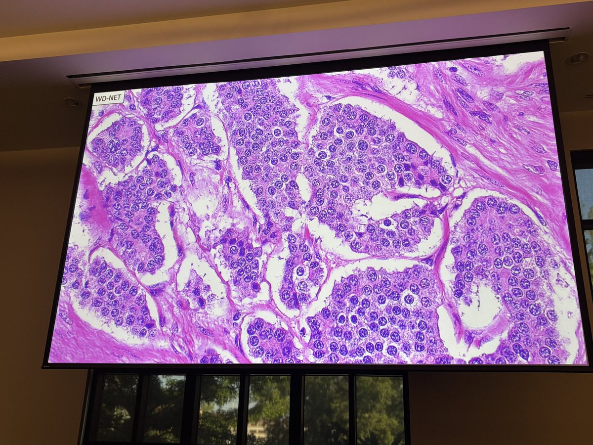 Victor Perim tweet media