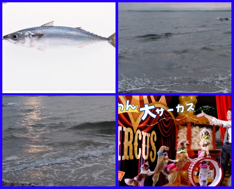 #鎮守府生活｢遊ぶ魚たち｣
司令( -д-)…小さな堤防周辺を狙っていて驚いたのは､食事時の魚達のテンションの高さですね

満潮時の夕暮れ…小さな堤防に波が当たって､意外な波が出来る

その波をサーフィンのように移動したり､盛り上がった波の上に尾だけで立ち泳ぎ

堤防の上を腹で滑る←遊んでるw