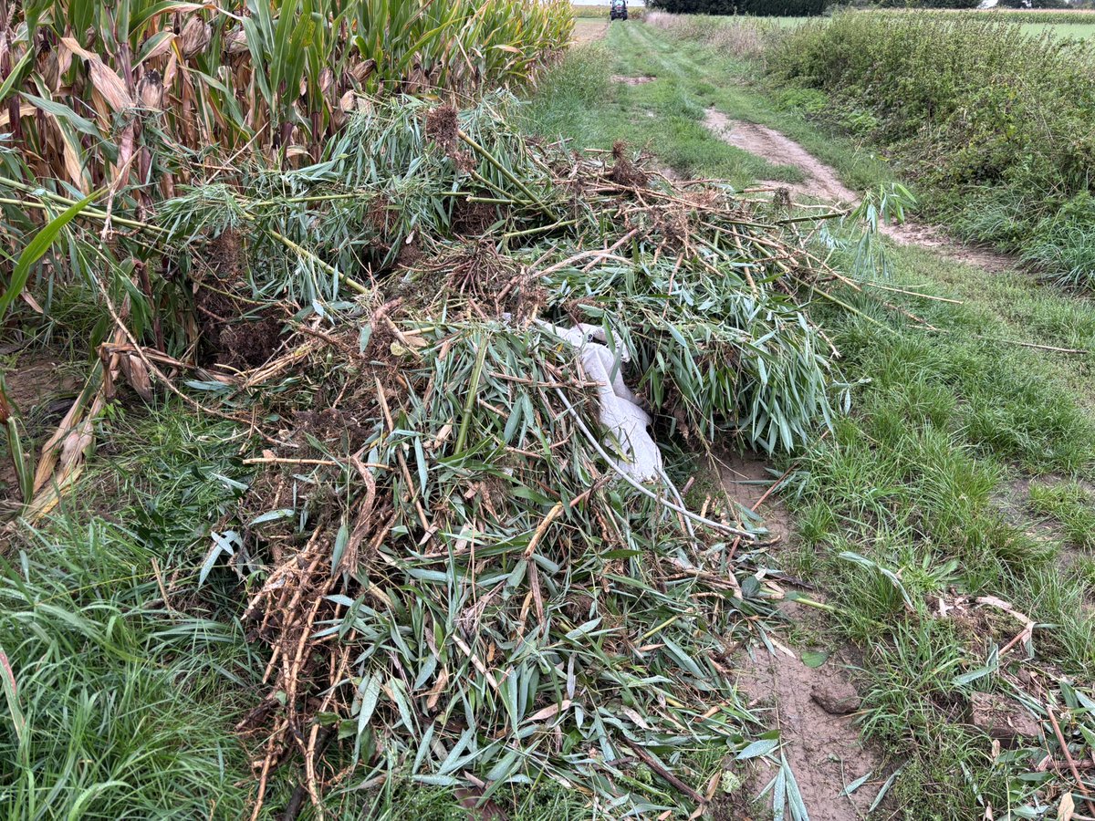 🤬🤬🤬🤬🤬 Le chemin a peine nettoyé du précédent que c’est déjà reparti !!!!