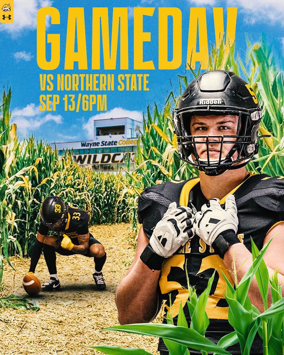 𝐈𝐓’𝐒 𝐆𝐀𝐌𝐄𝐃𝐀𝐘 🐯🐾🔥

#ForThePaw #PawUp