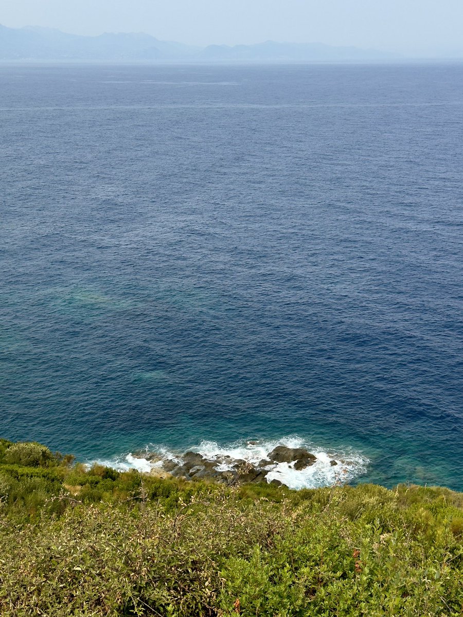 رشا (@rzysk_) on Twitter photo 