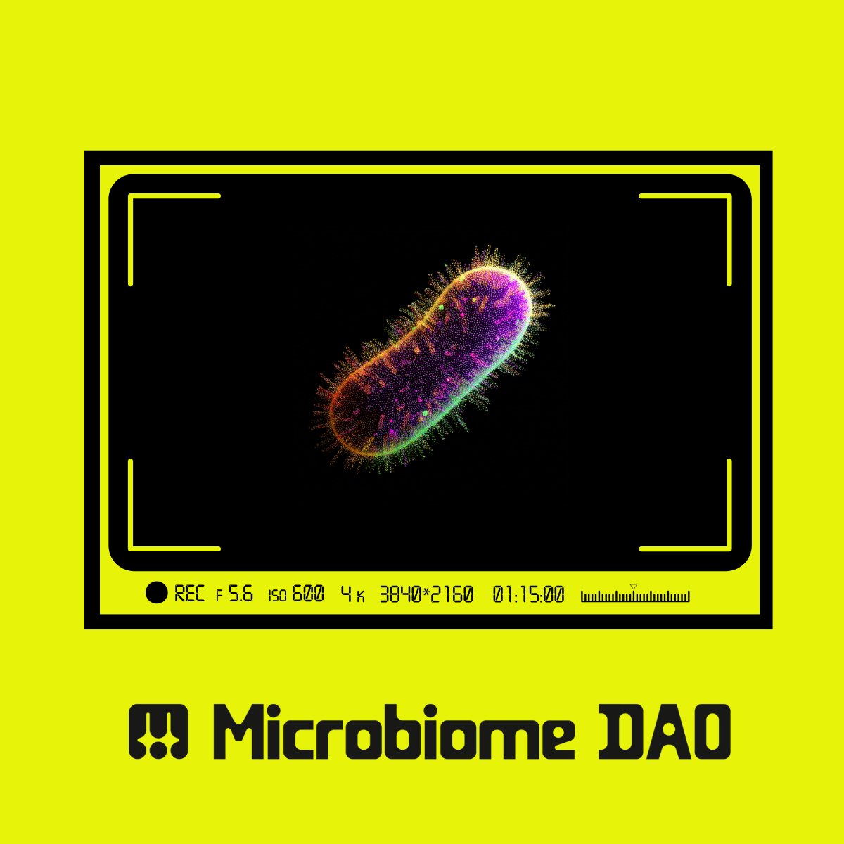 Chavez Alvar (@alvar_chavez2) on Twitter photo BioXP + $BIO gate the lab. <a href="/BioProtocol/">Bio Protocol</a> runs onchain Ignition → IP tokens → allocations. <a href="/microbiomedao/">MicrobiomeDAO</a> turns gut data into trials. Yap → stake → access BioXP + $BIO gate the lab. <a href="/BioProtocol/">Bio Protocol</a> runs onchain Ignition → IP tokens → allocations. <a href="/microbiomedao/">MicrobiomeDAO</a> turns gut data into trials. Yap → stake → access