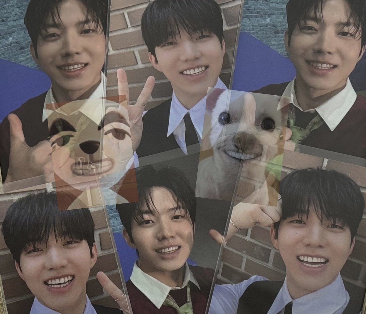 포카 정리하는데 웃음이 계속 나오는 이유는 뭘까