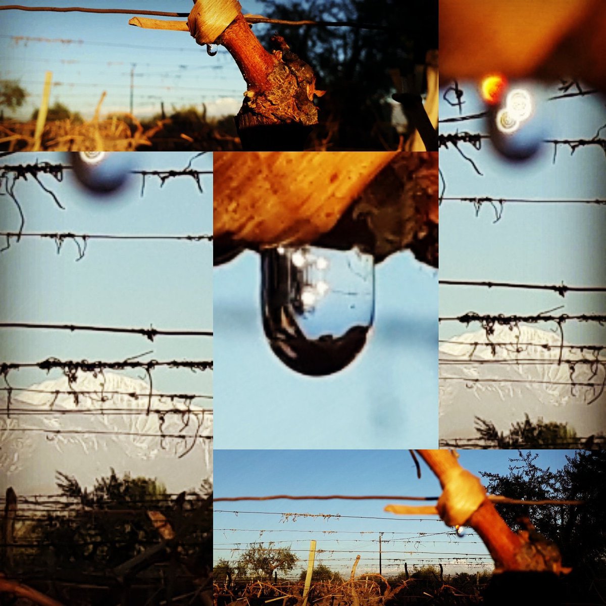 vida lloro vid gota nacimiento llanto lágrima #Mendoza