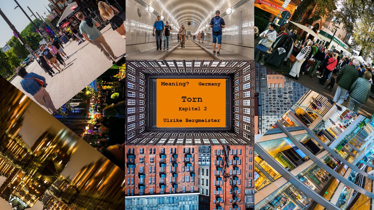 Meaning? - Uncertainty, Instability and Extremes Transadapted (Fiction)        

Germany  

Torn        

Kapitel 2        

Ulrike Bergmeister       

perypatetik.net