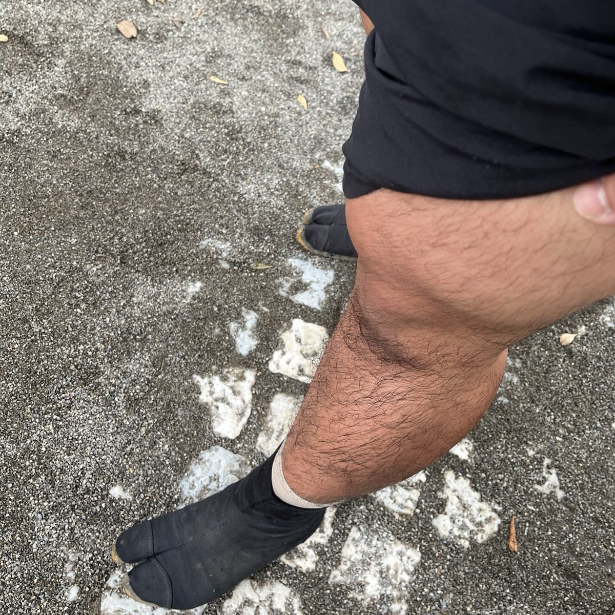 元自衛官🫡ティラノ伍長🦖 tweet media