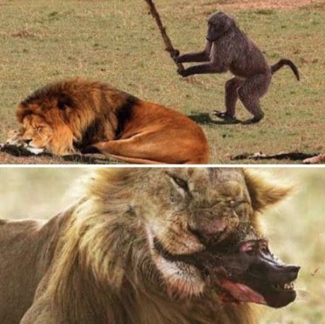 Paolo Iob 🇮🇹 ⚔️ tweet media