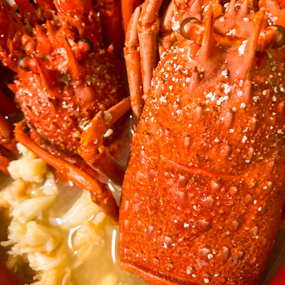 やっぱこの色になるとグロさを感じない。
マジ正月の匂いする、いただきます。