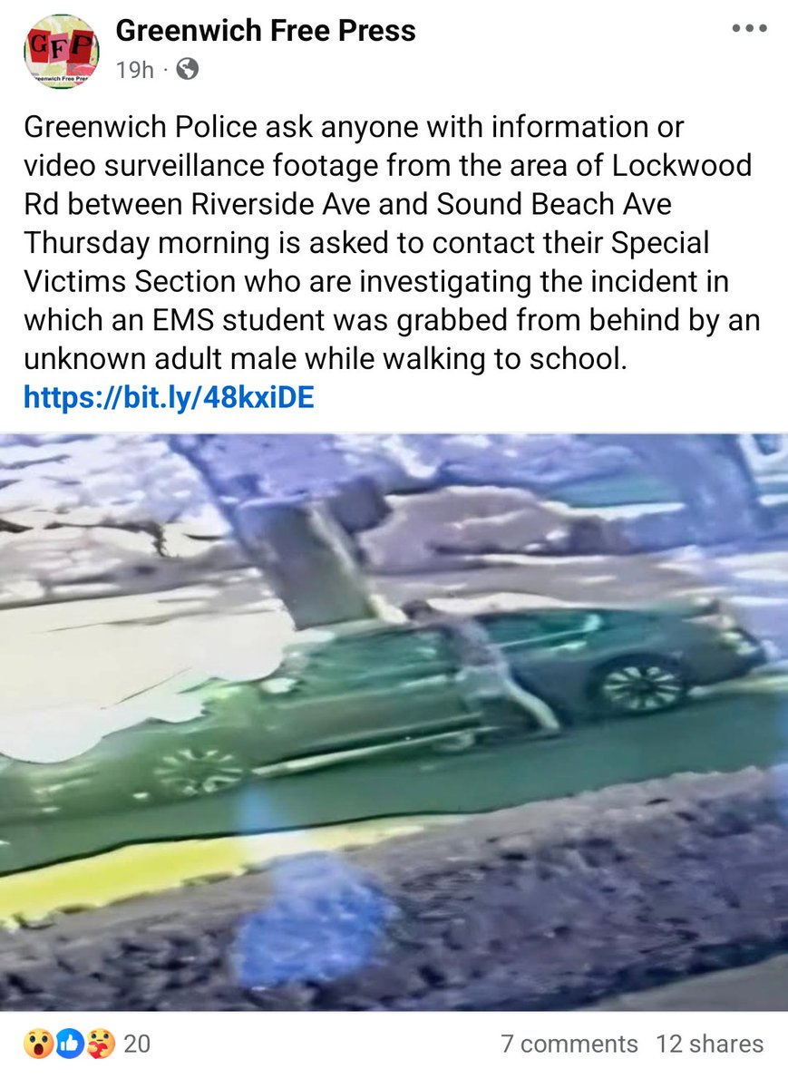 No one wants surveillance cameras in their neighborhood until this happens in front of their $4 million house