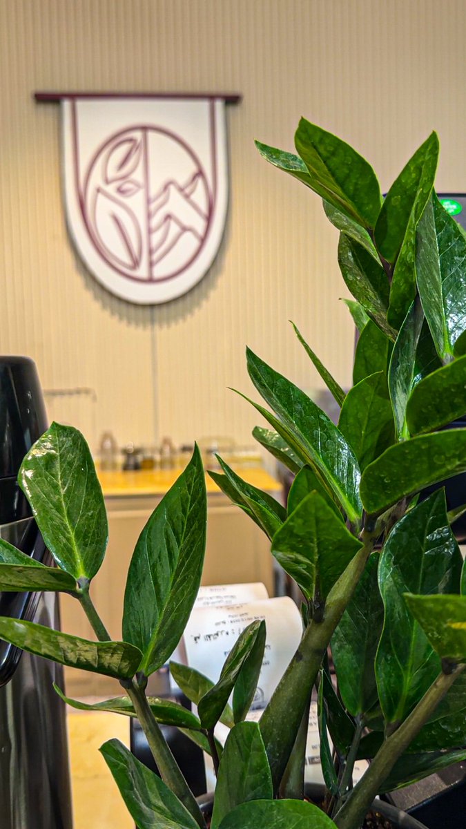 ربمـا المـرء ليس بِـ حاجـةٍ لشـيءٍ 
أشدّ من احتياجه لِـ لمكوث بِـ مفرده
وقـتـاً طويـلًا ، أن يشعـر بِـ السكـون 
يسري داخله ، وأن يركن إلى الهدوء ، 
ويفرّ من الضجيج ..

 #مساء_الخير