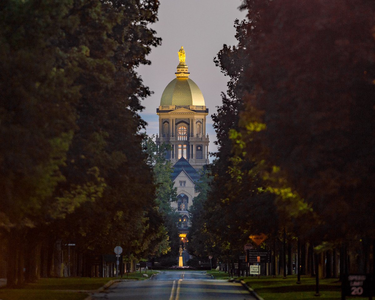 NDBaseball's tweet image. 𝑯𝑶𝑴𝑬

#GoIrish ☘️