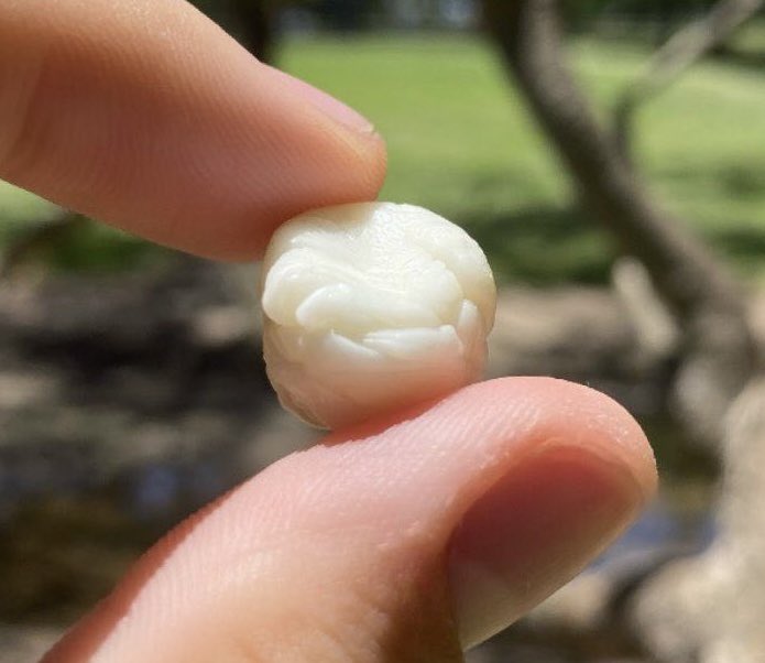 Magnus Vigsø tweet media