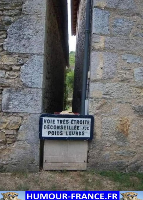 text alternatif
