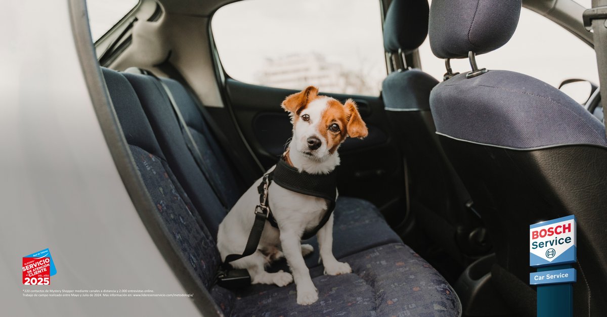 Bosch Car Service (@boschcarsvc_es) on Twitter photo Viajar con tu mascota: seguridad ante todo:
🛡️ Usa sujeción homologada
💺 Siempre en los asientos traseros
💧 Agua y paradas
🚫 Nunca la dejes sola en el coche
Su seguridad también está en tus manos ❤️ Viajar con tu mascota: seguridad ante todo:
🛡️ Usa sujeción homologada
💺 Siempre en los asientos traseros
💧 Agua y paradas
🚫 Nunca la dejes sola en el coche
Su seguridad también está en tus manos ❤️