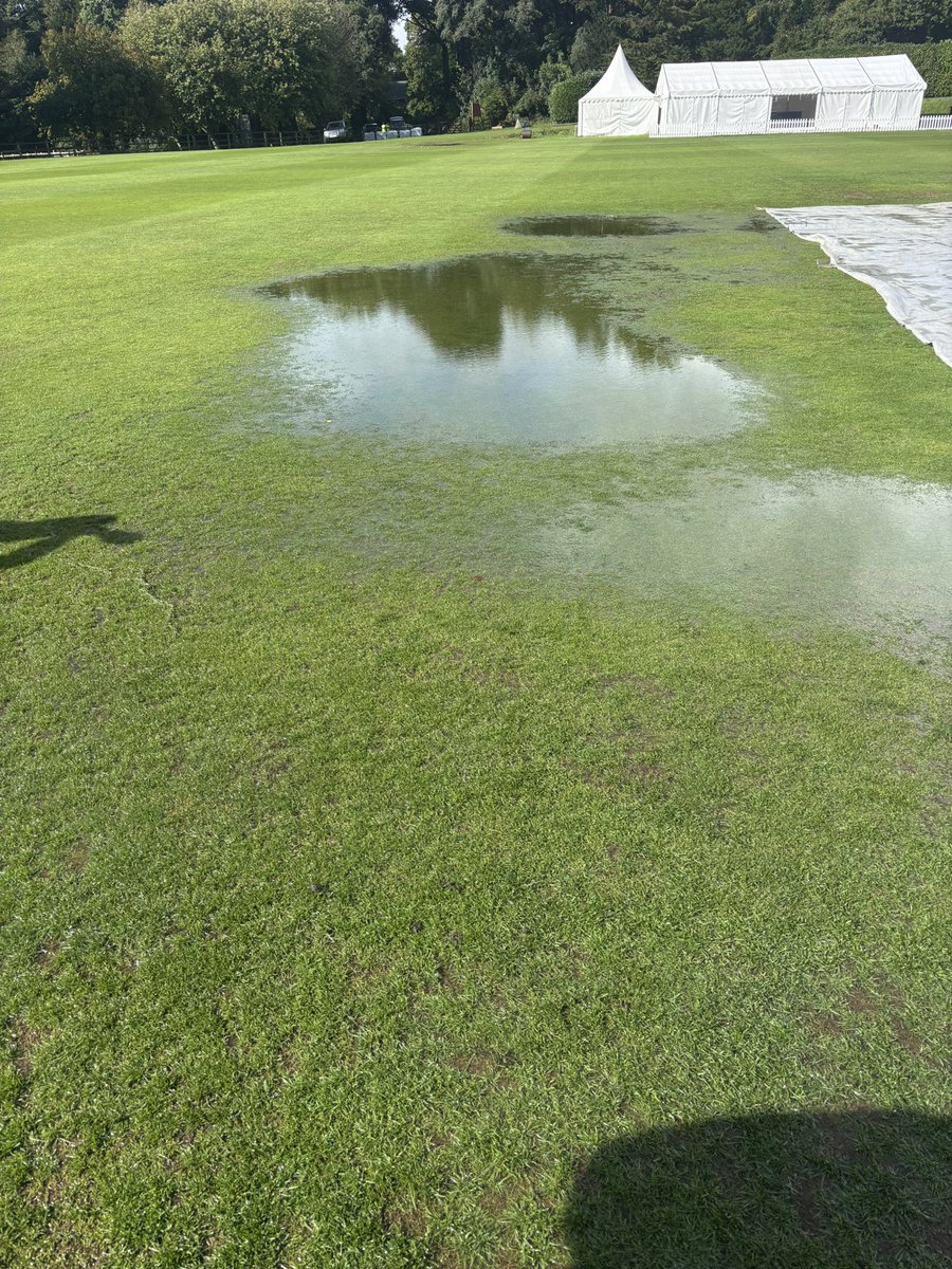 James Askew tweet media