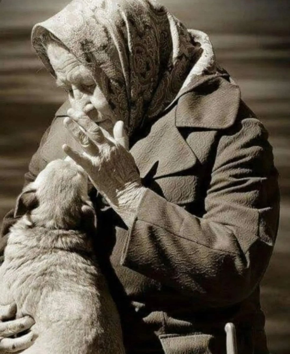"La lealtad es el camino más corto entre dos corazones" 
José Ortega y Gasset