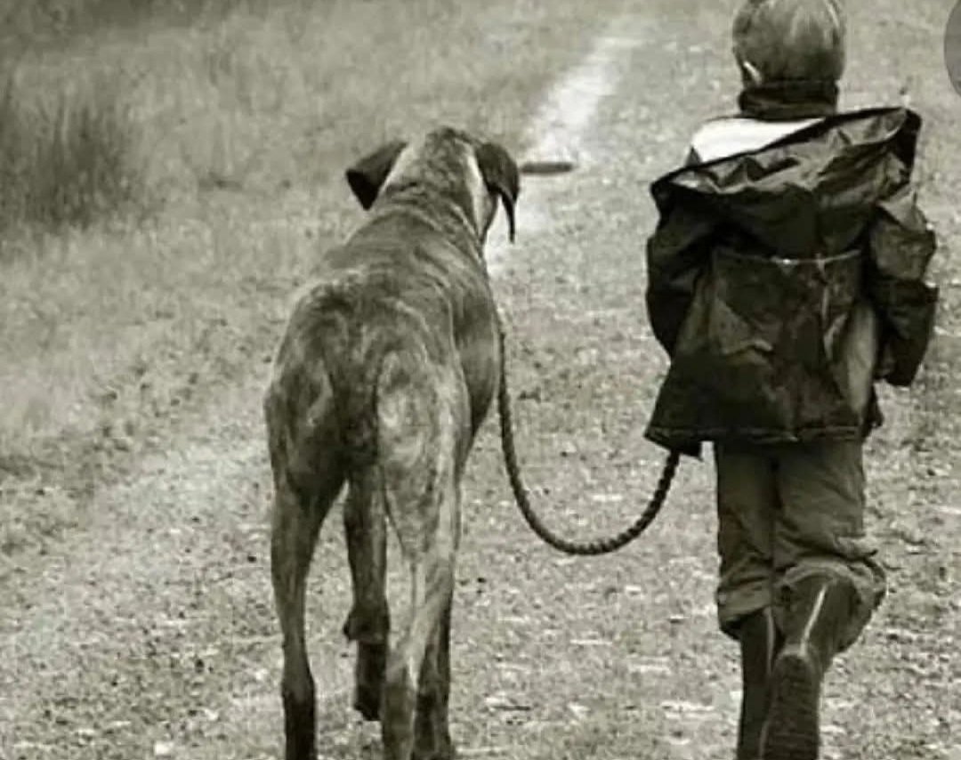 "Todos creen que tienen el mejor perro... y ninguno de equivoca" 
W. R. Purche