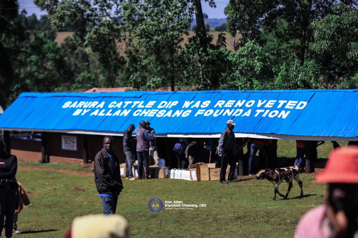Through the Allan Chesang Foundation, we have renovated the Sarura Cattle Dip and engaged with farmers on their needs. This is the leadership we must embrace, delivering real solutions that improve livestock health, empower farmers, and secure food for our people in Trans Nzoia.