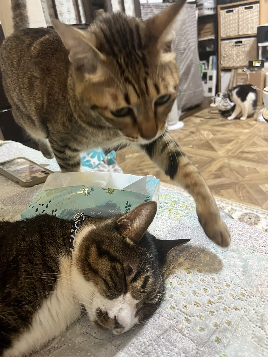 なんか増えてた