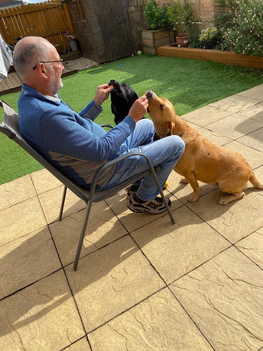 Visiting my fur grandkids, really obedient, well for a bit of carrot anyway ♥️