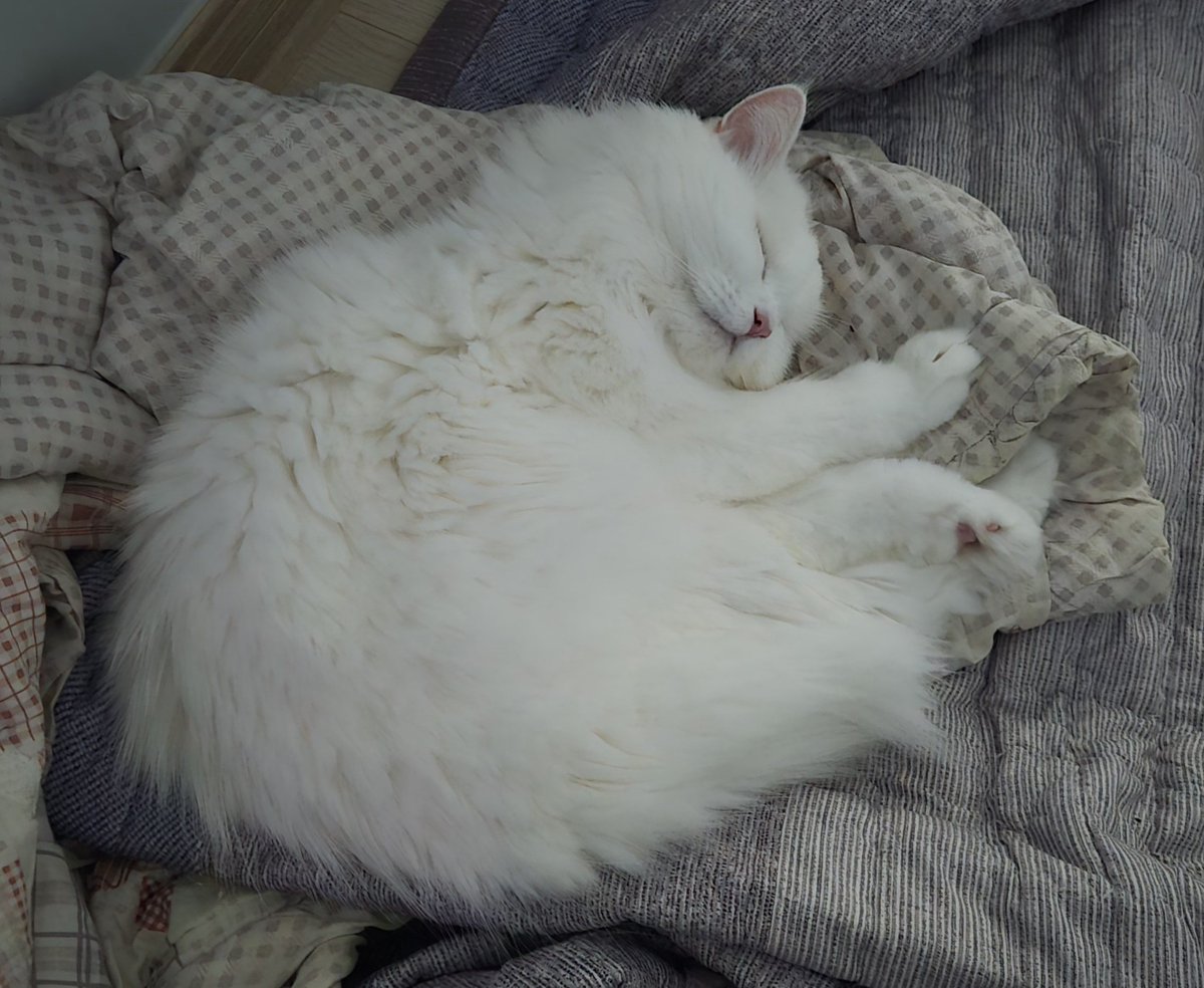 기여운거 볼 사람