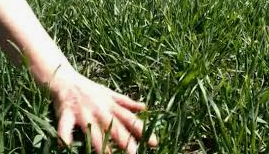 LauraPatience6's tweet photo. Touch grass, feel the universe breathing.
@opensea
#openseatouchgrass #opensea https://t.co/Vavzkfla81