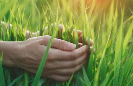 TammyIvan4's tweet photo. The grass holds life — feel it.
@opensea
#openseatouchgrass #opensea https://t.co/VUcMgH156d