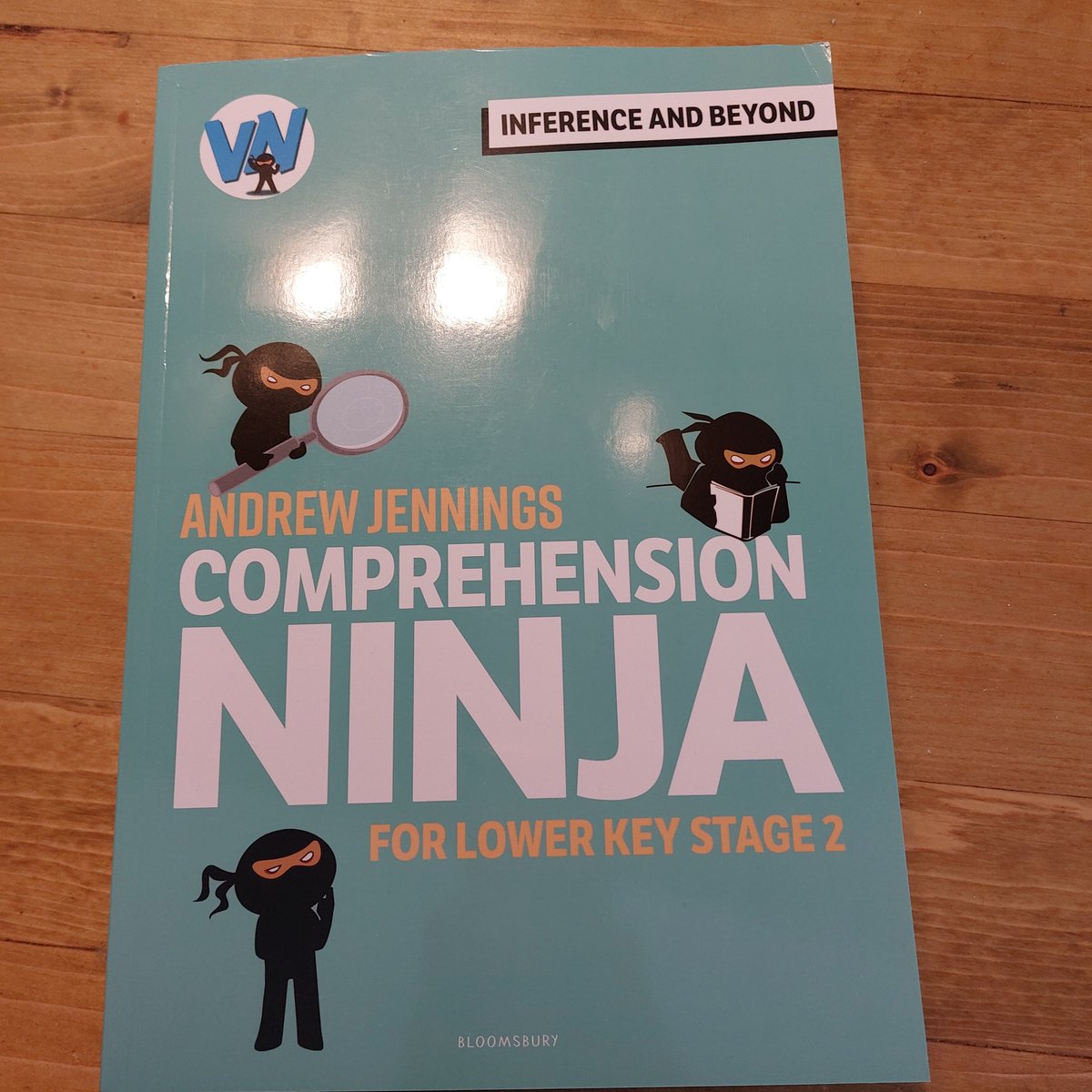 Dropped on the doorstep today. <a href="/VocabularyNinja/">Vocabulary Ninja</a>