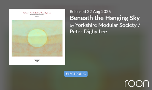🌌 Yorkshire Modular Society &amp; Peter Digby Lee – Beneath the Hanging Sky (2025)
Saturday afternoon flows into Beneath the Hanging Sky – a deep ambient journey of modular synth textures, drones, and subtle pulses. Heavy clouds above, silence beneath.
👉 The artists
Yorkshire