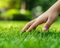 Touch grass, touch the cycle of life.
<a href="/opensea/">OpenSea</a>
#openseatouchgrass #opensea