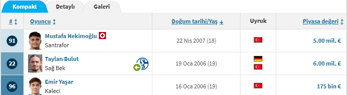 Beşiktaş'ın 18 ve 19 yaş aralığında 2 genç türk futbolcu daha katmasını beklerdim.