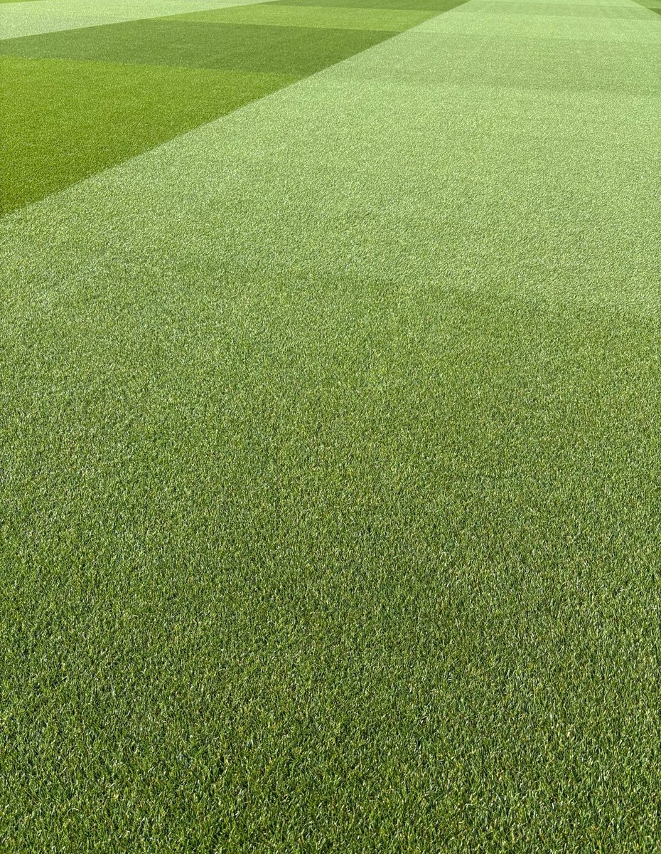 Cardiff at home. 🌱 ⚽️