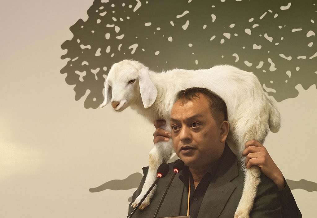 kc_sagarr's tweet photo. Forget politics, invest in Goat- this Dashain guaranteed returns @thapagk https://t.co/8R3OmYn144
