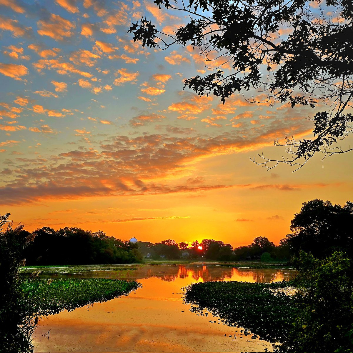 <a href="/AlexCalamiaWx/">Alex Calamia ☀️</a> 
<a href="/hoffmanrich/">RichHoffmanWeather</a> 
<a href="/SamanthaAugeri/">Samantha Augeri</a> 
<a href="/mark_tarello/">Mark Tarello</a> 
<a href="/TreutleinDenise/">Denise treutlein</a> 
<a href="/accuweather/">AccuWeather</a> 
<a href="/JSeawright_TVWX/">Julian Seawright</a> 
<a href="/News12LI/">News12LI</a> 
#n12stormwatchers 

A happy sunrise at the Massapequa lake this morning.