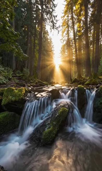 Another day. Thank you Lord!!!
Psalm 118:24