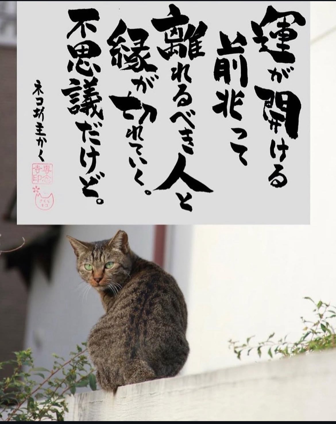【中古】 １日３０分で月２０万円以上稼ぐ「株式ネットトレード」快勝法 現役主婦トレーダーが明かす、「日経２２５オプション/アスカビジネスカレッジ/三原三和 1日30分で月20万円以上稼ぐ「株式ネットトレード」快勝法
