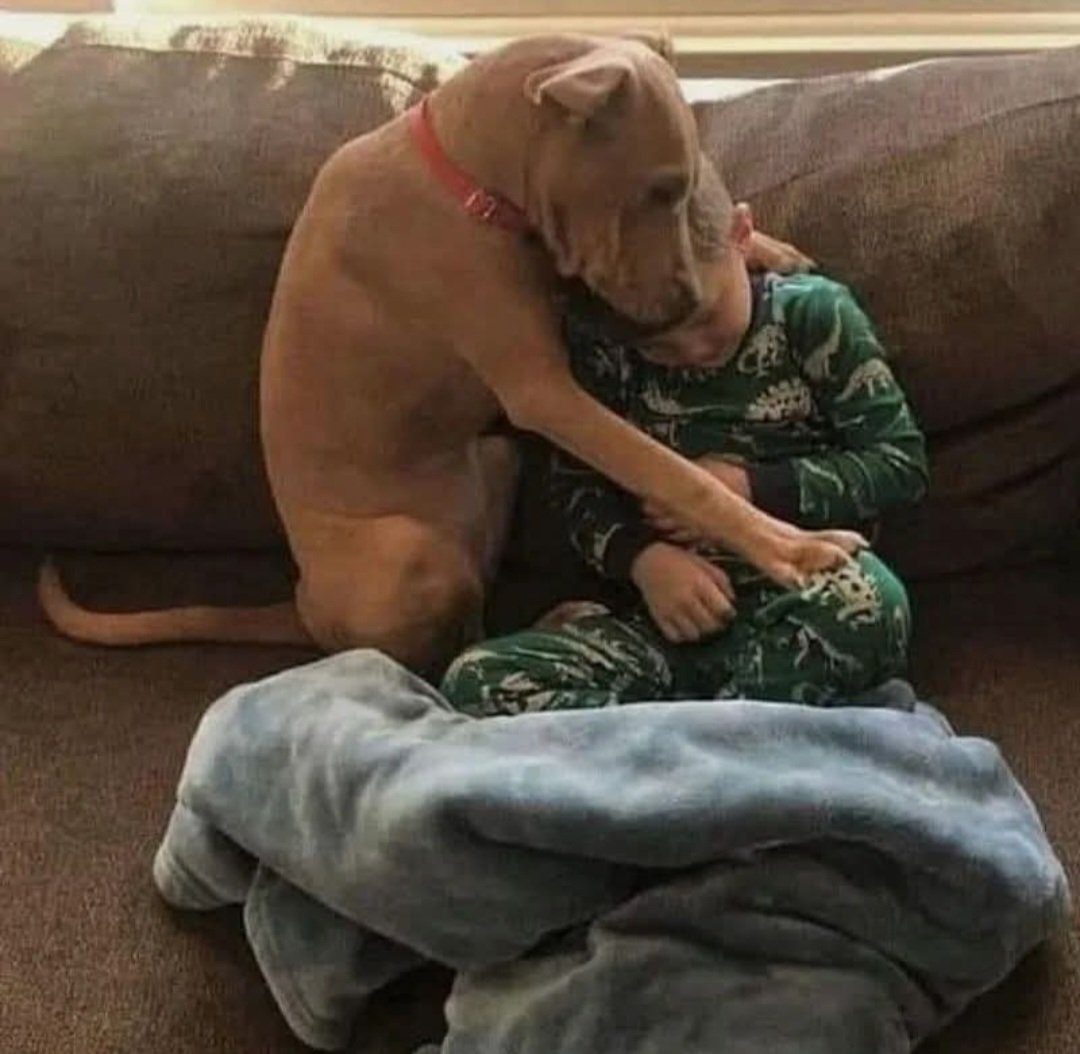 "Cualquier forma de amor que encuentres... 
vívelo"
Anaïs Nin