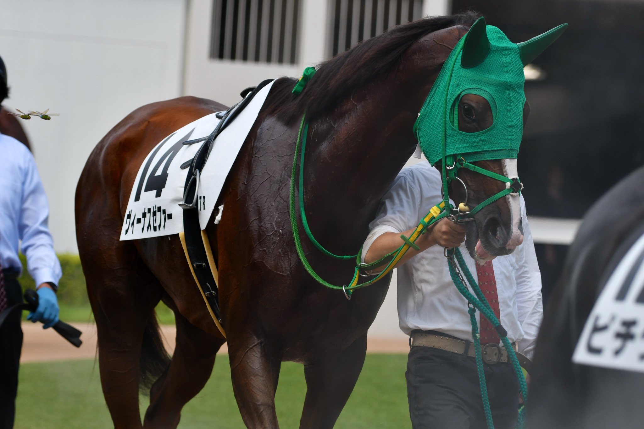 アルデラックス - Search / X