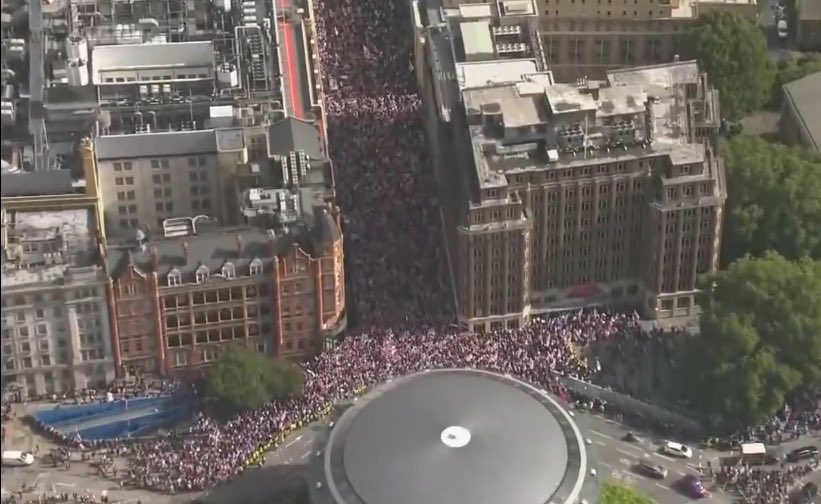 🚨NEW: Drone image of Tommy Robinson's demonstration in London
