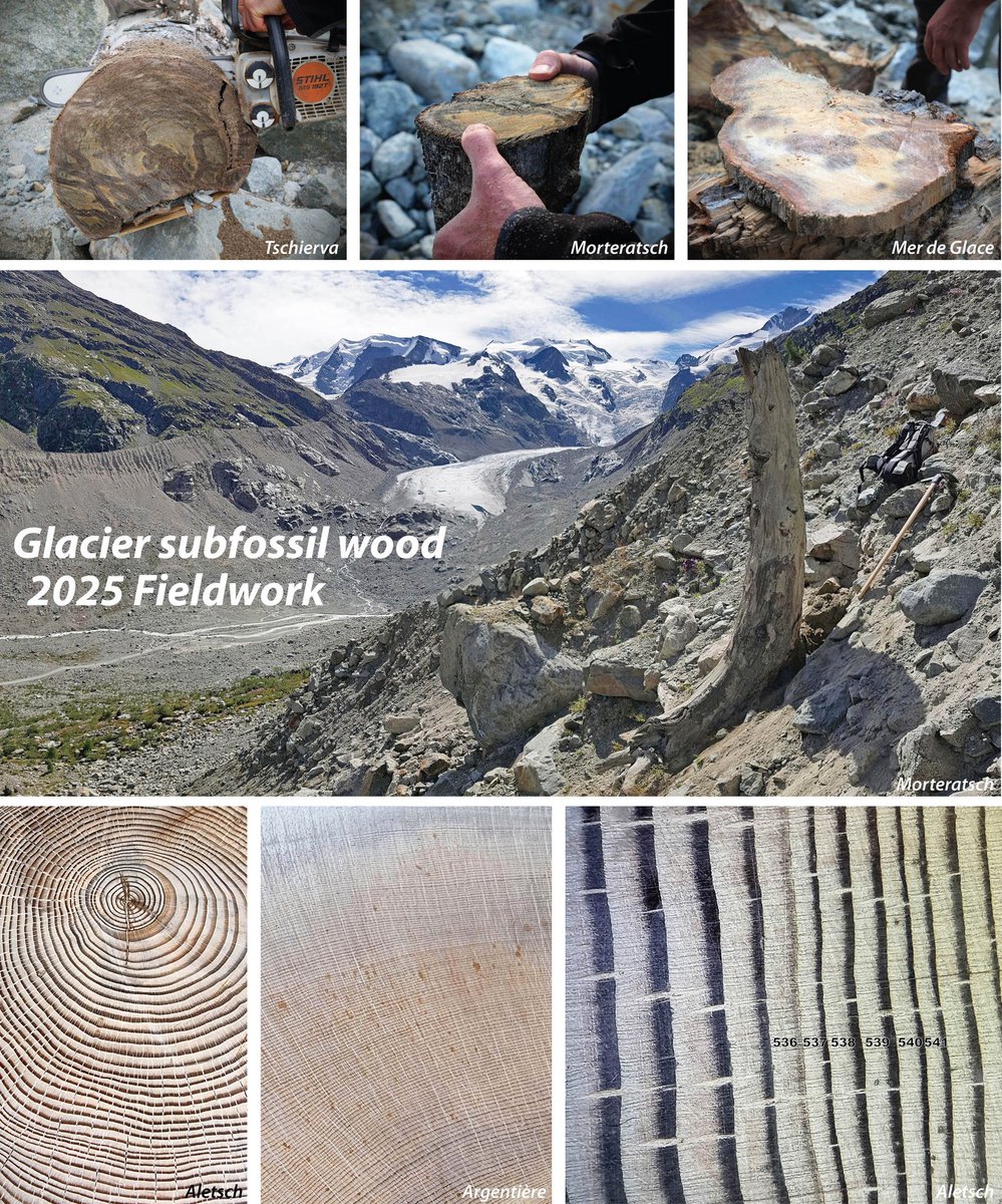📣📣 Call For Donations! 💰💰

I am raising funds to finance the 2025 'glacier subfossil wood' field campaign!

Do you want to continue hearing tales about glaciers and trees? 🧊🌲💍

I need your help! 🤍

To learn more:
wemakeit.com/projects/glaci…

🙏🙏 Please share it widely! 🙏🙏