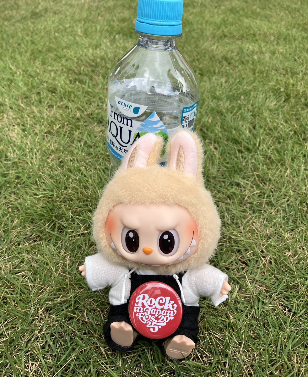 pug_wo's tweet photo. 今年もロッキンはじめました https://t.co/ZHPpDRyczW