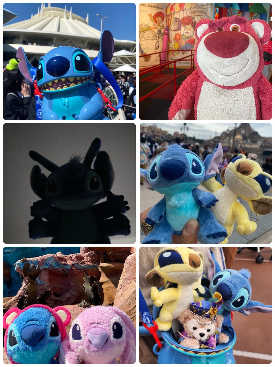 るー🌺 tweet media