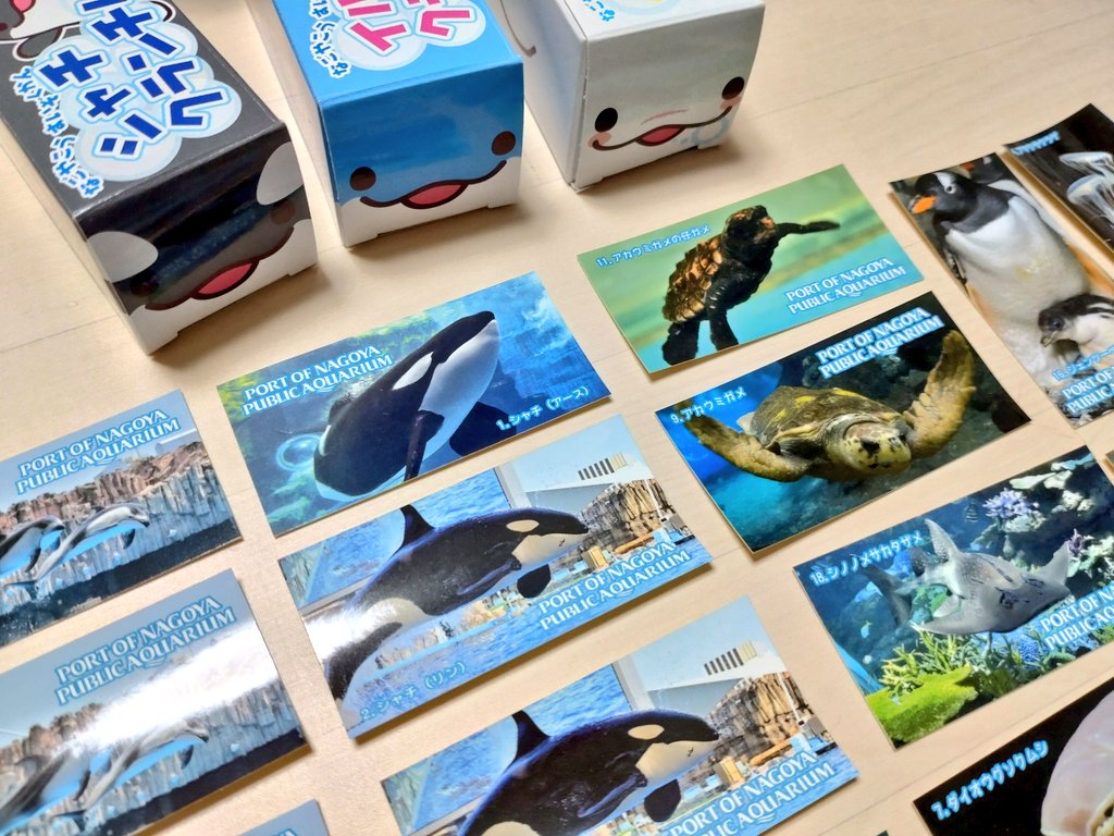 名古屋港水族館のお土産色々 妻と一緒に、真珠取り出し体験やって